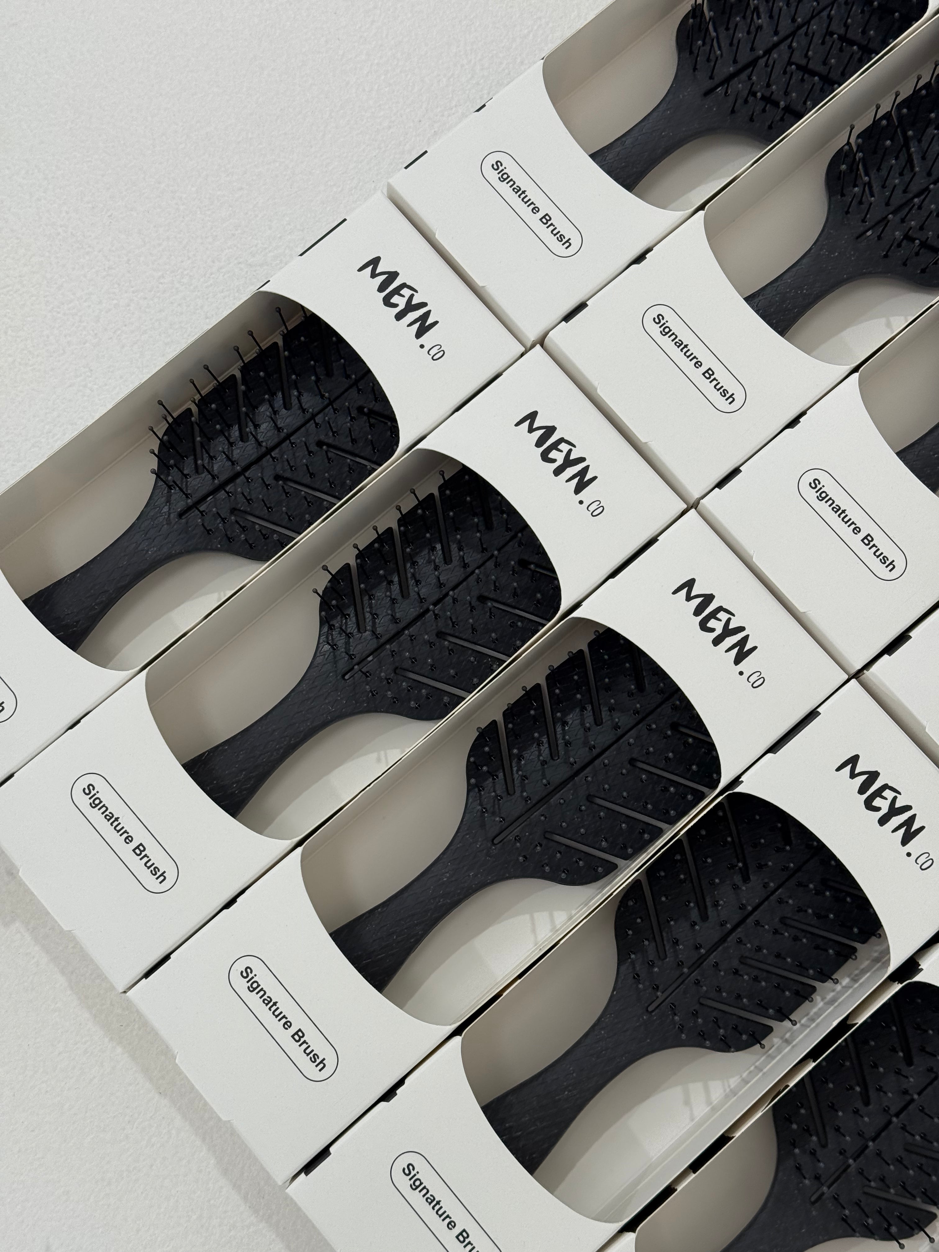 Signature Brushes in box